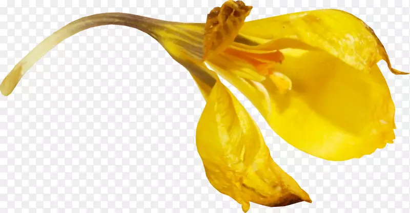 ����-������