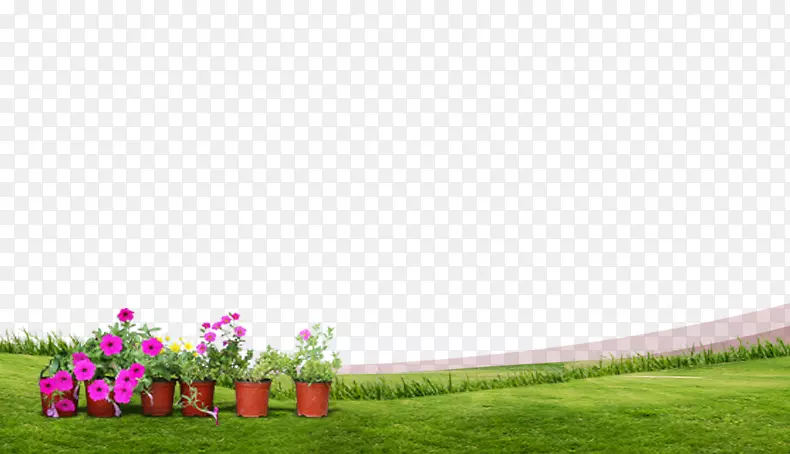 �ݴ��̲ݵ��ƺ���̲�-������