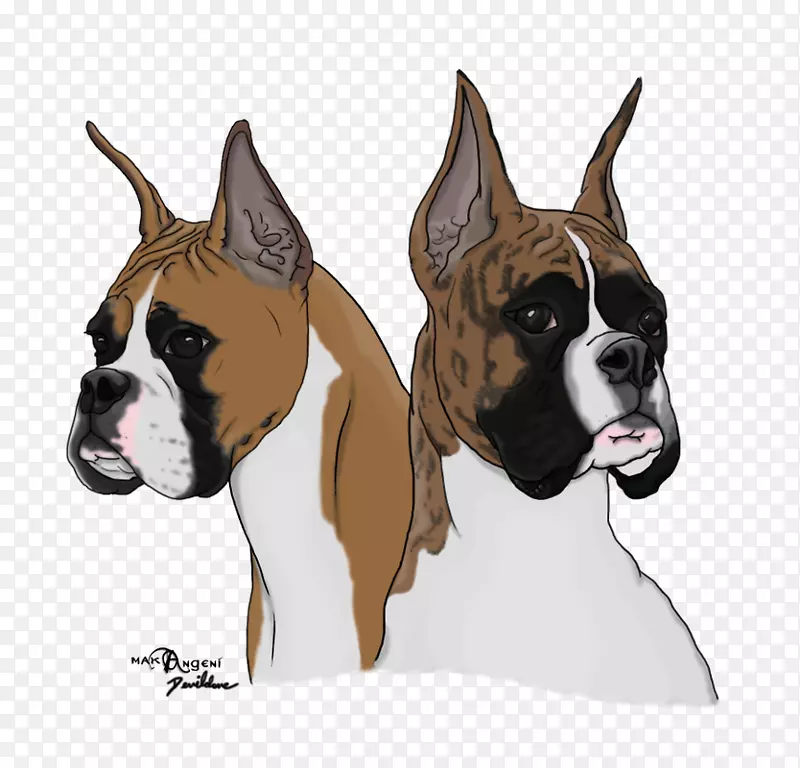 ����Źȶ�ţȮ��������-ȭ����Ȯ-������