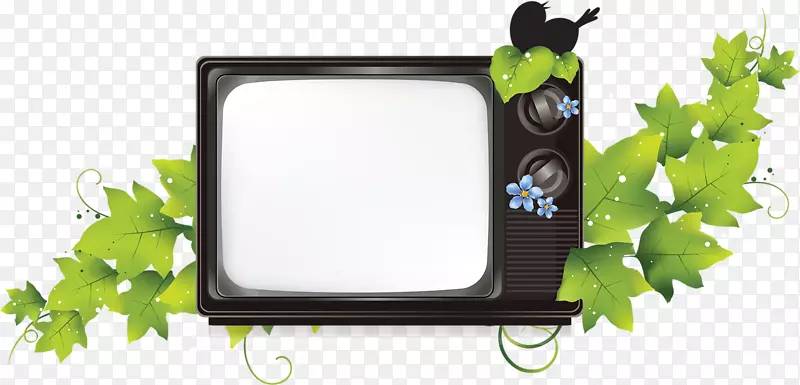 ����-���ŵ���-������