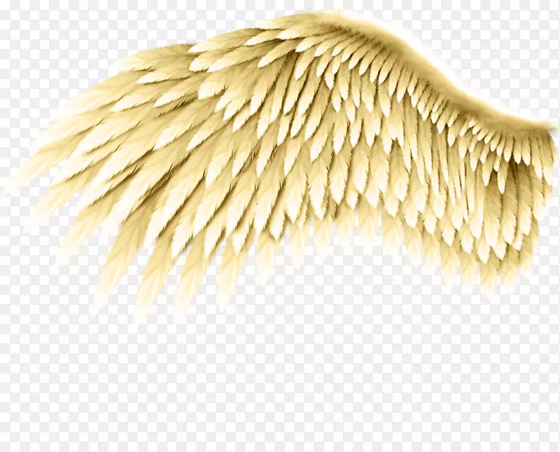 ����ʹ���������-��-������