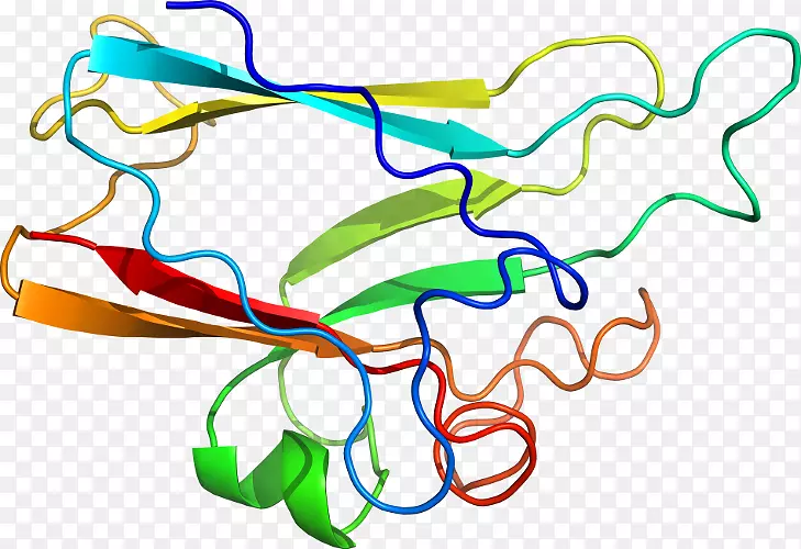 �ߵ������������-������