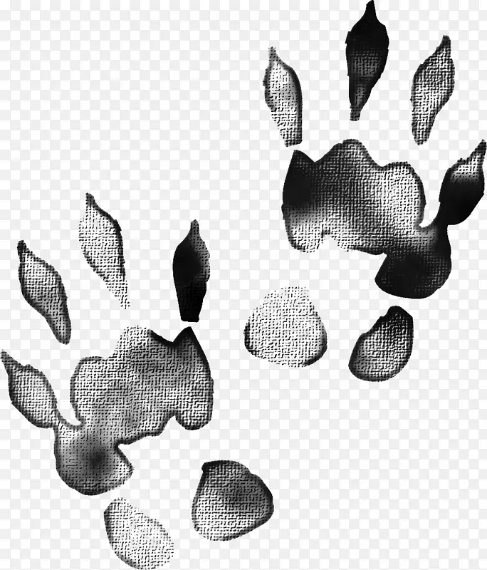 ����켣��������ɫ-�����Ժ�ɫ�����ӡ-������