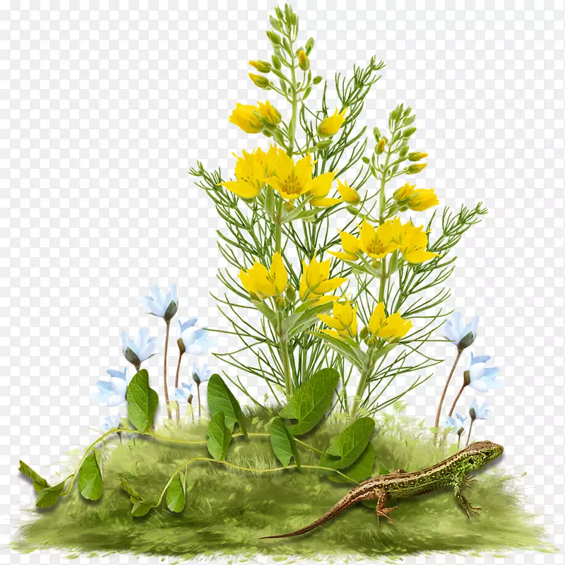 �������-������