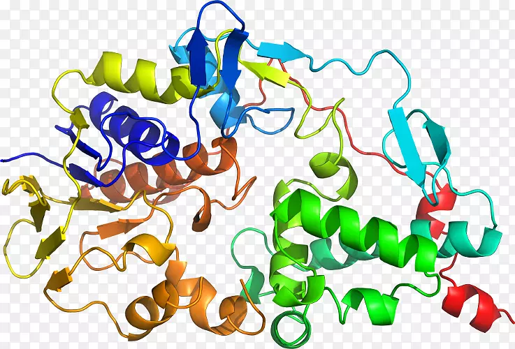 ���������л����߼�������-������