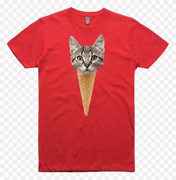 t����ñ������t��-������