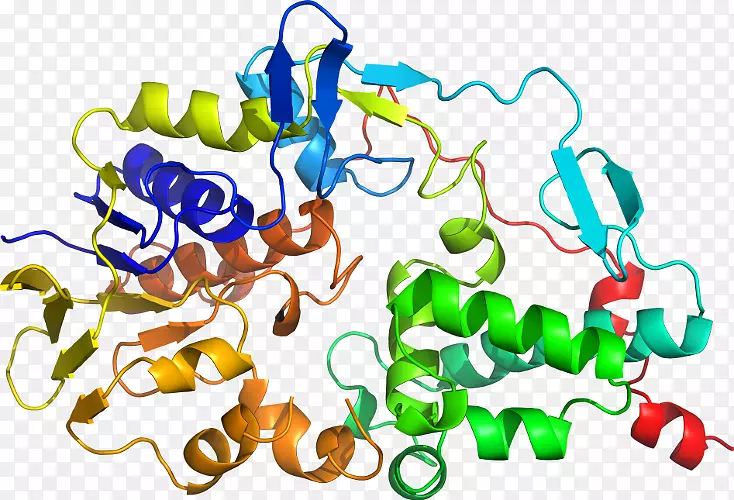 ���������л����߼�������-������