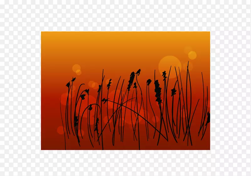 ƽ����Ƴ�ɫ��ͼ-�����Ĺ��-������