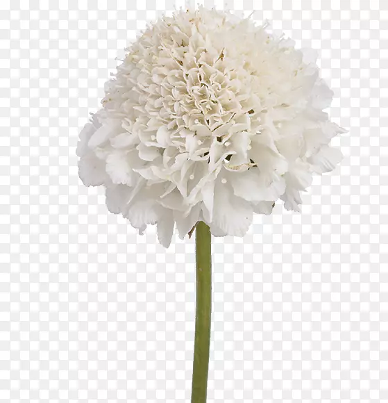 �л��˹���������-������