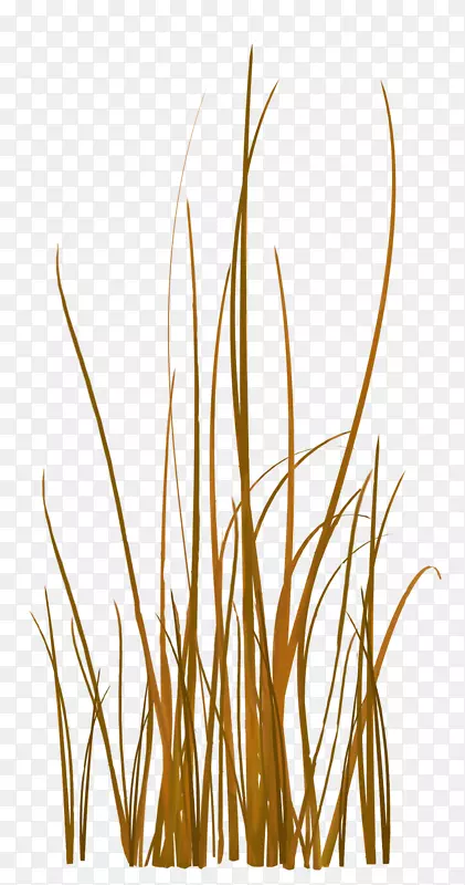 �����ʲ�װ��ͼ��-������