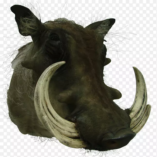 �����ܱ���Ұ������-��-������