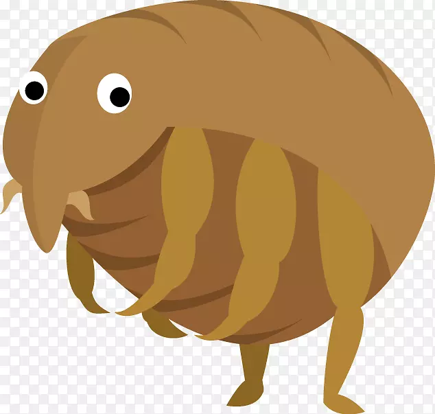 ��������è��-������