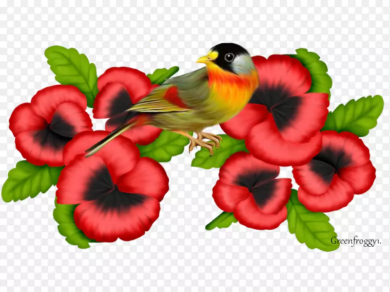 ���ܴ��������-������