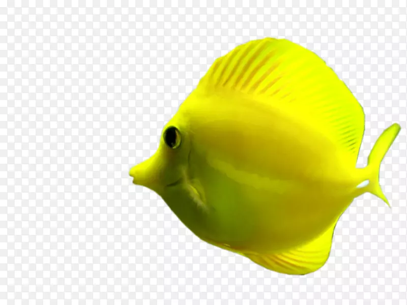 Jos��carioca 0��������ϵͳ-����-������