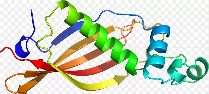 ƽ����Ƽ�����.���-������