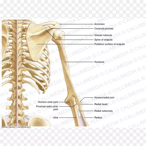 ��������ϵͳǰ��-������