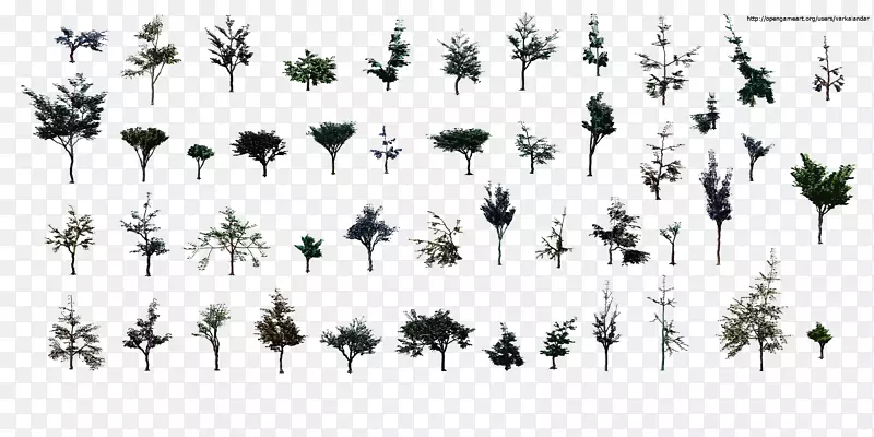 �ݰ�Ҷ������Ҷ-������