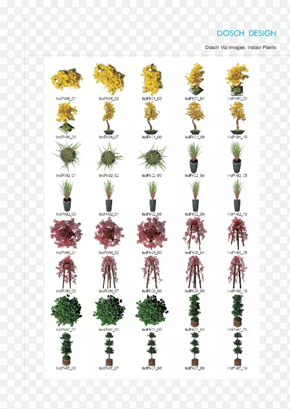 ������ƻ�ľ���-������