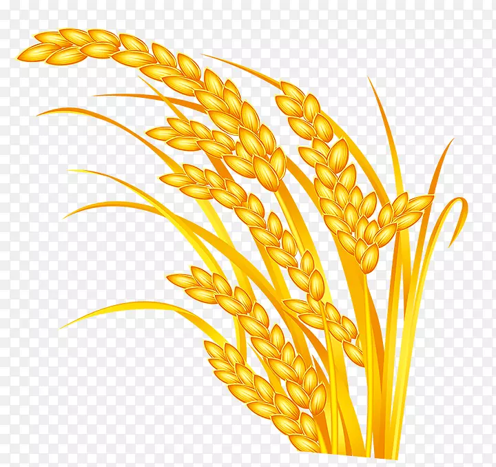 ����������������-������