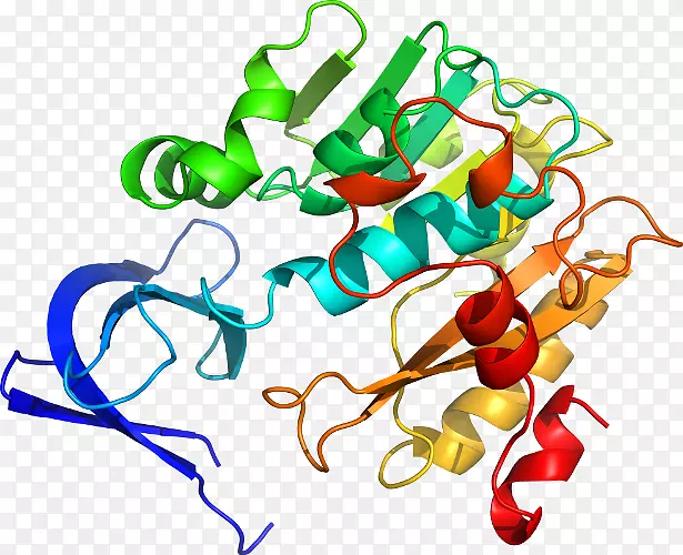 �����л����߶����������-������