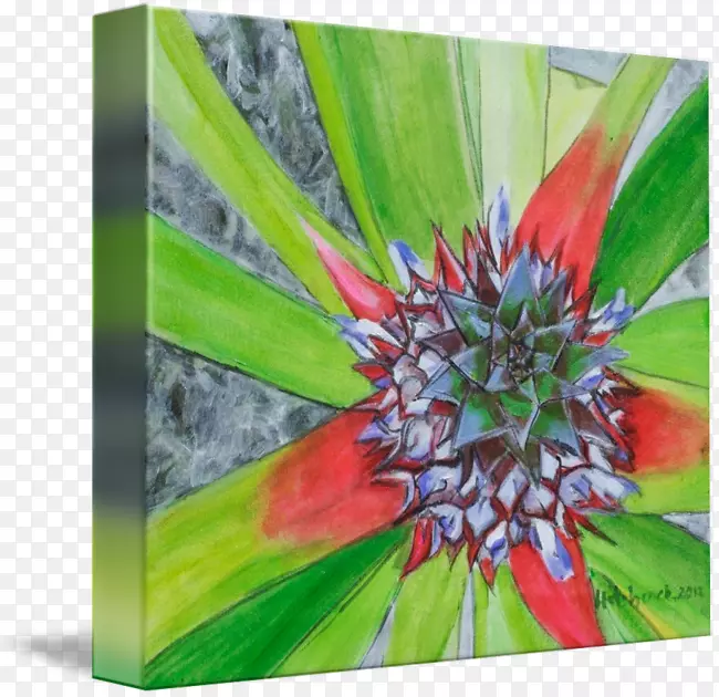 ����ֲ��Ұ��-���ܱ�Ե-������