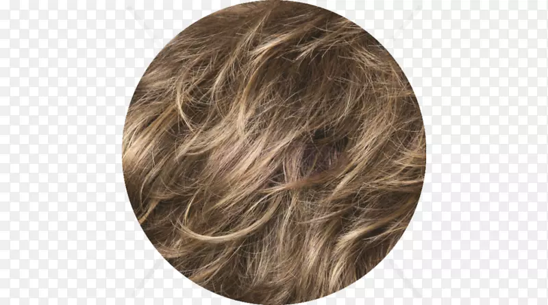 �ٷ�����ʱ�н�-������