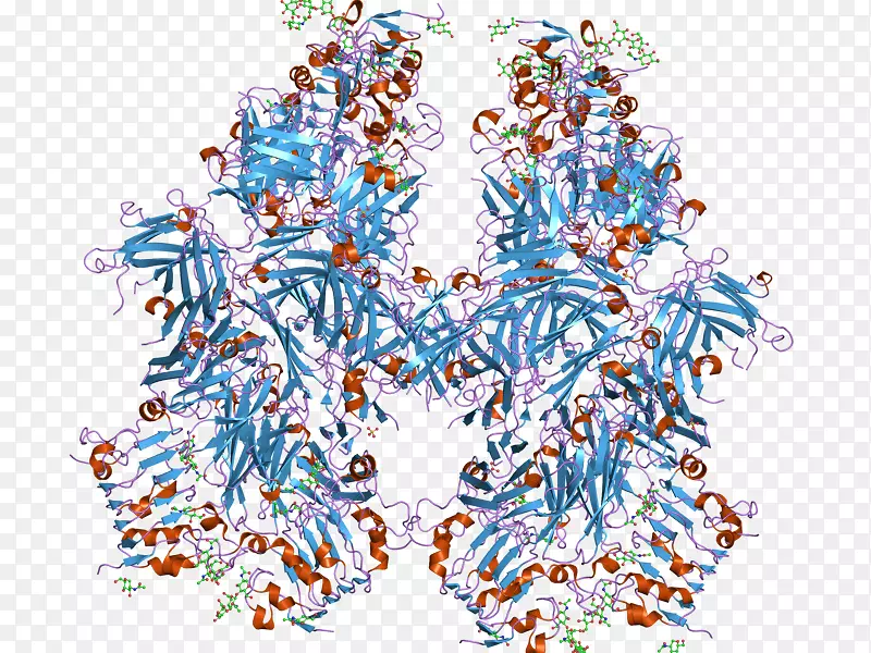 ƽ��������ߵ���-������