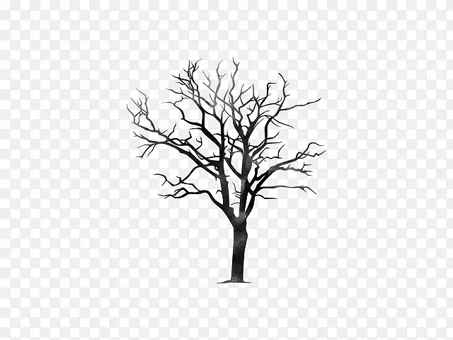 ��֦�����ɡ�����-������