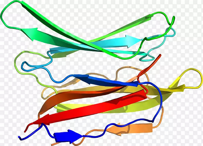 �ߵ������-��-������