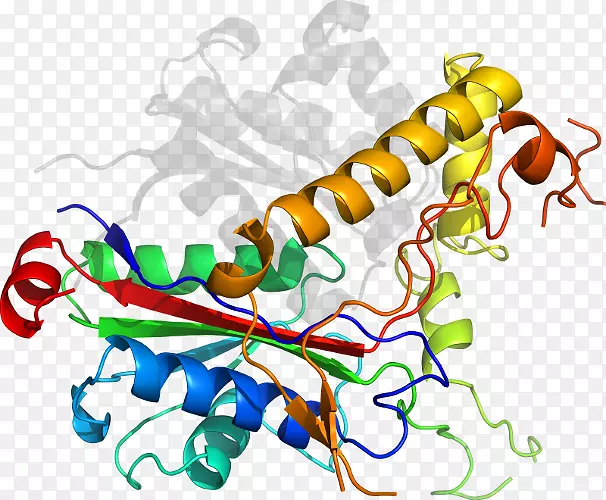 �ߵ������������-������