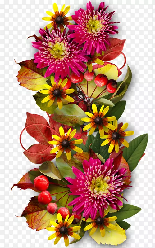 ��������л�����.����-������