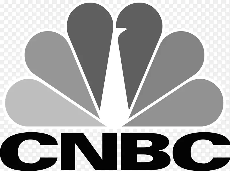 cnbcŷ�޵��ӽ�Ŀcnbc����-�ֳ�����-������