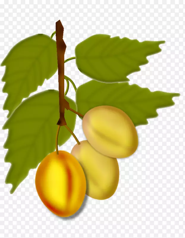 ����ȻʳƷˮ��-��-������