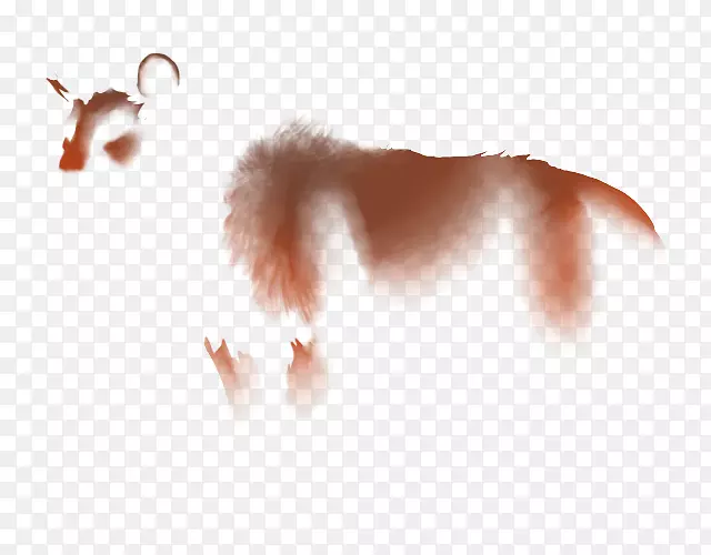 ʨ�ӹ�è�Ƽ�������-ʨ��-������