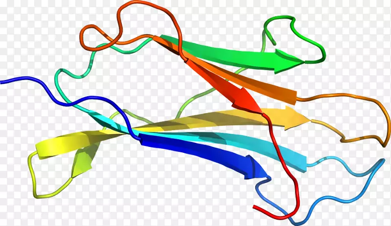 �ߵ������-��-������