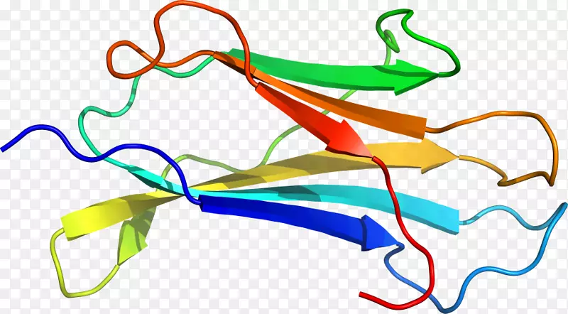 �ߵ������-��-������