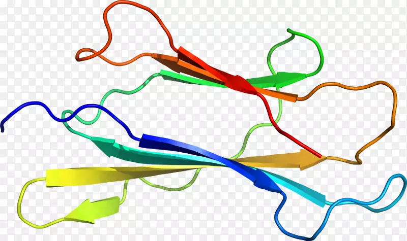 �ߵ������-��-������