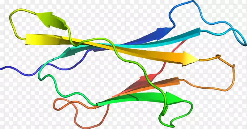 �ߵ������-��-������