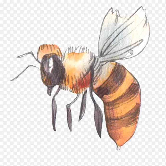 �䶾-������