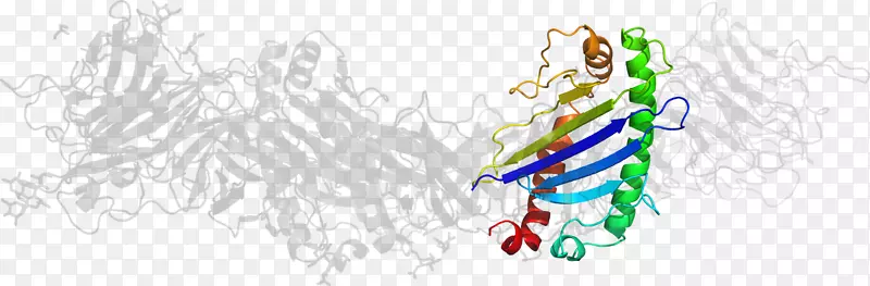 ���鱦��������-������