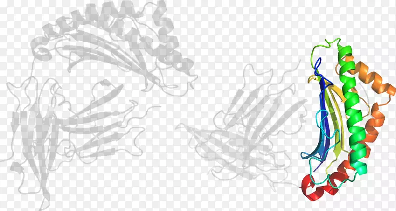 ���������-������