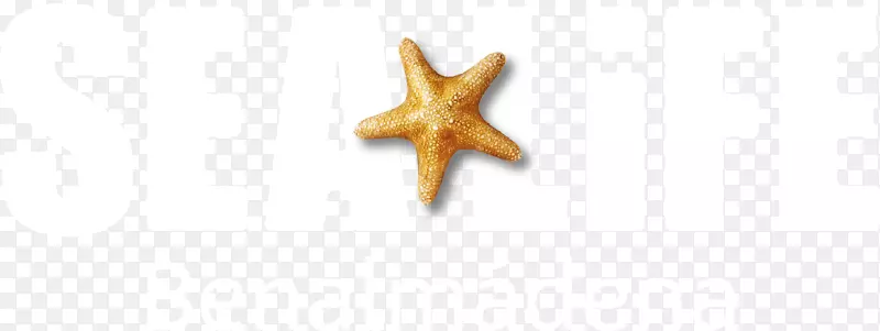 ��������-����-������