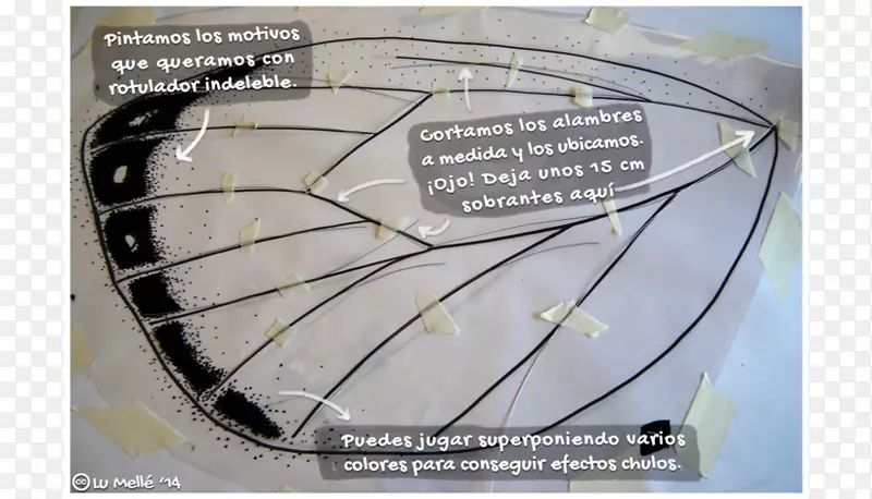 ���ֲ�������-Lara-������