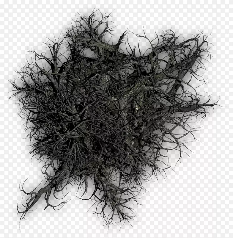 ֽ�ʲ���Ȧ��˾�����罻����-������