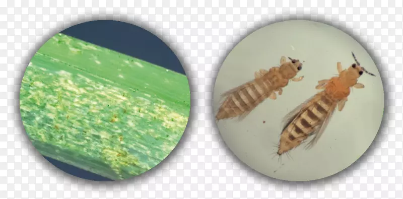 ��м�������-������