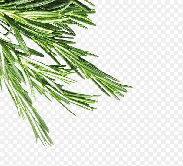 �ݱ������������Խ�¯-������