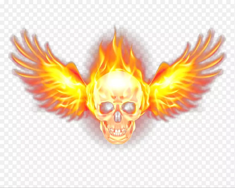 ����-������-������