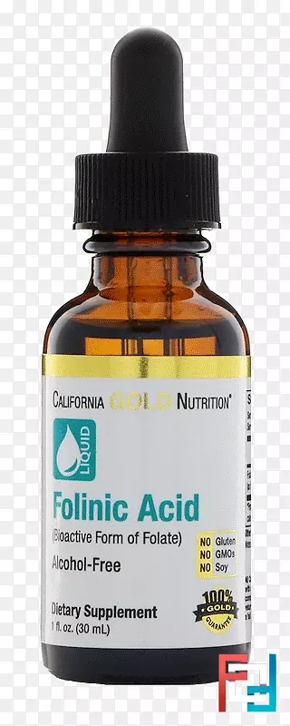 ��ʳ�����Ҷ��ά���ش�Ҷ��-������