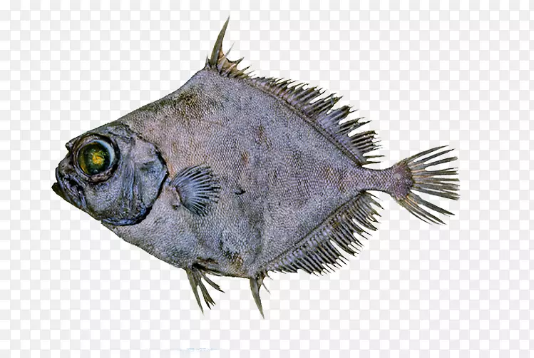 ��״���������.�������״����-������