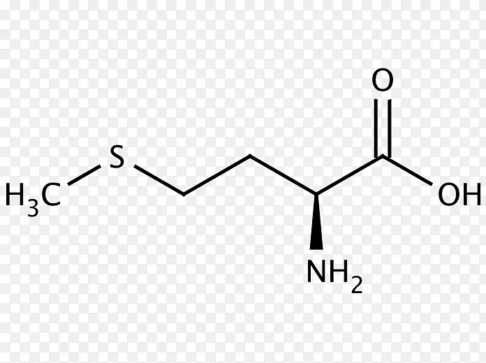 ��������ʳ�������ѧ����-������